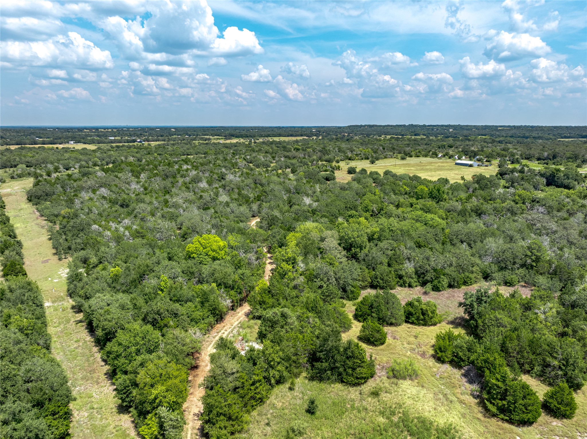 10842 Rauch Road Ledbetter, TX 78946 - Photo 4 of 24