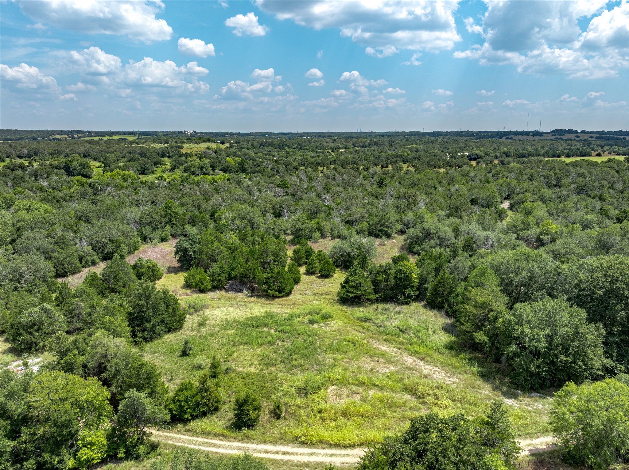 10842 Rauch Road Ledbetter, TX 78946 - Photo 5 of 24