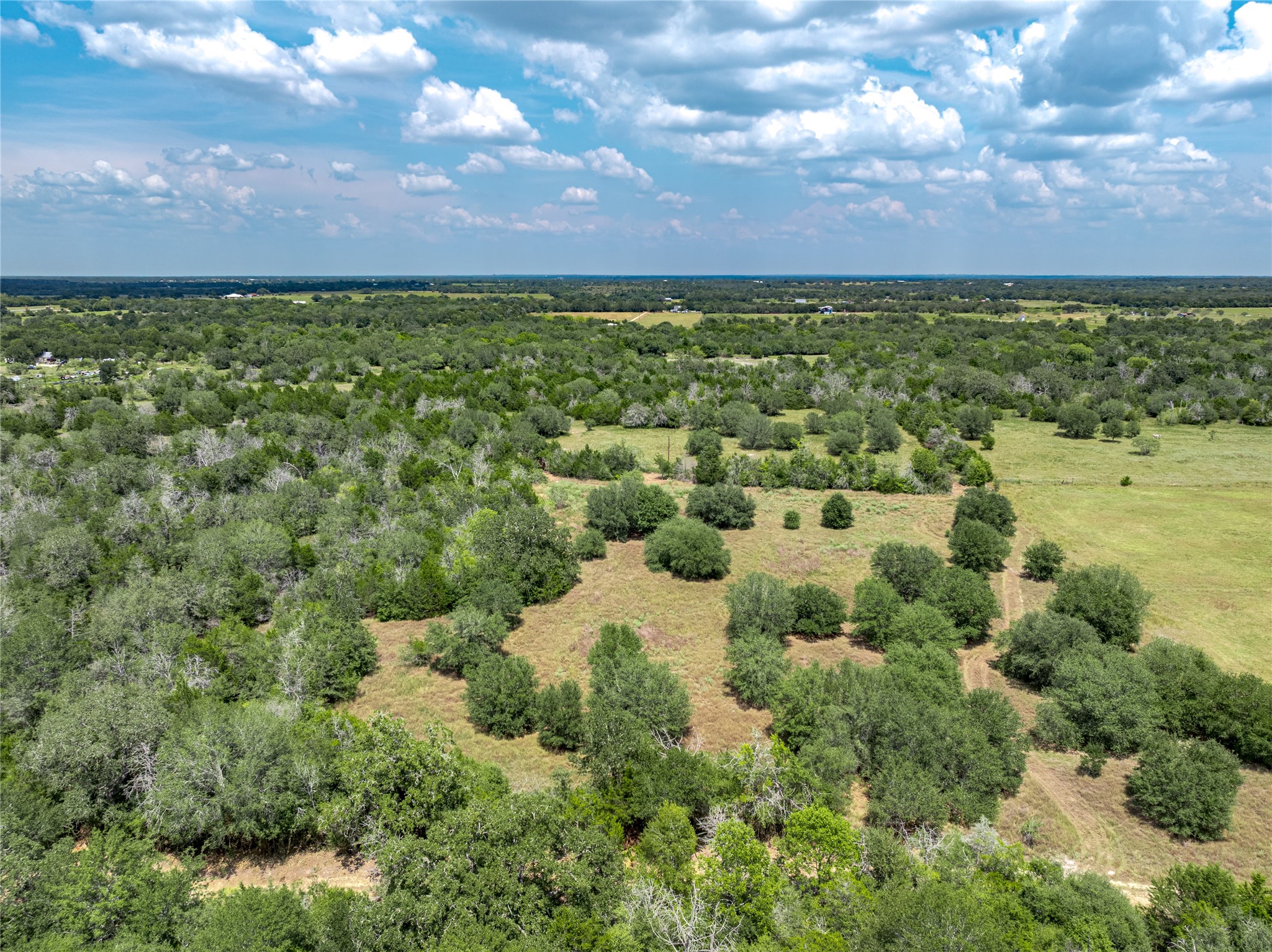 10842 Rauch Road Ledbetter, TX 78946 - Photo 6 of 24