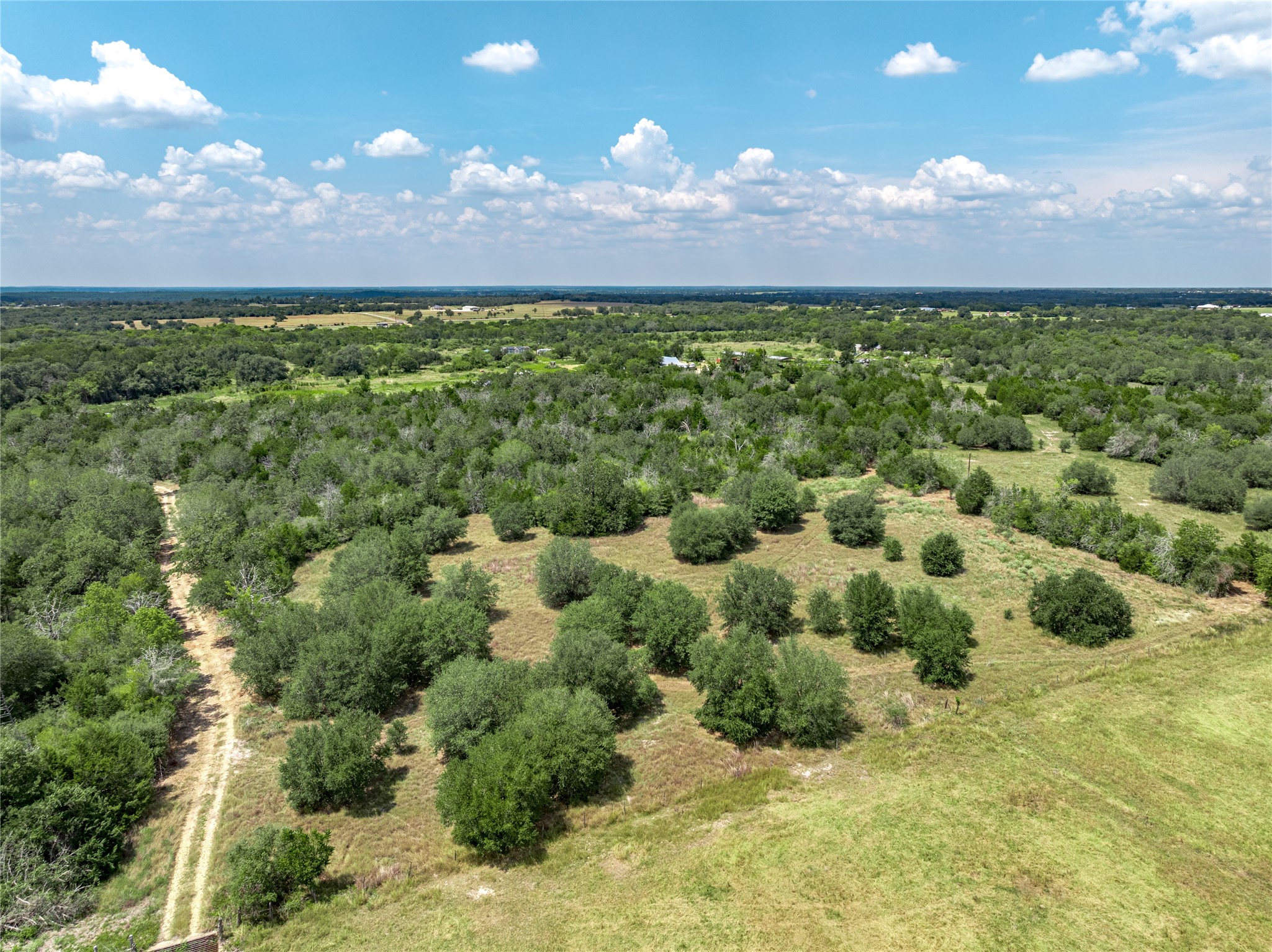 10842 Rauch Road Ledbetter, TX 78946 - Photo 7 of 24