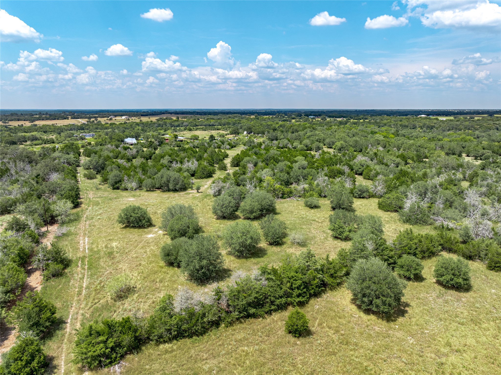 10842 Rauch Road Ledbetter, TX 78946 - Photo 8 of 24