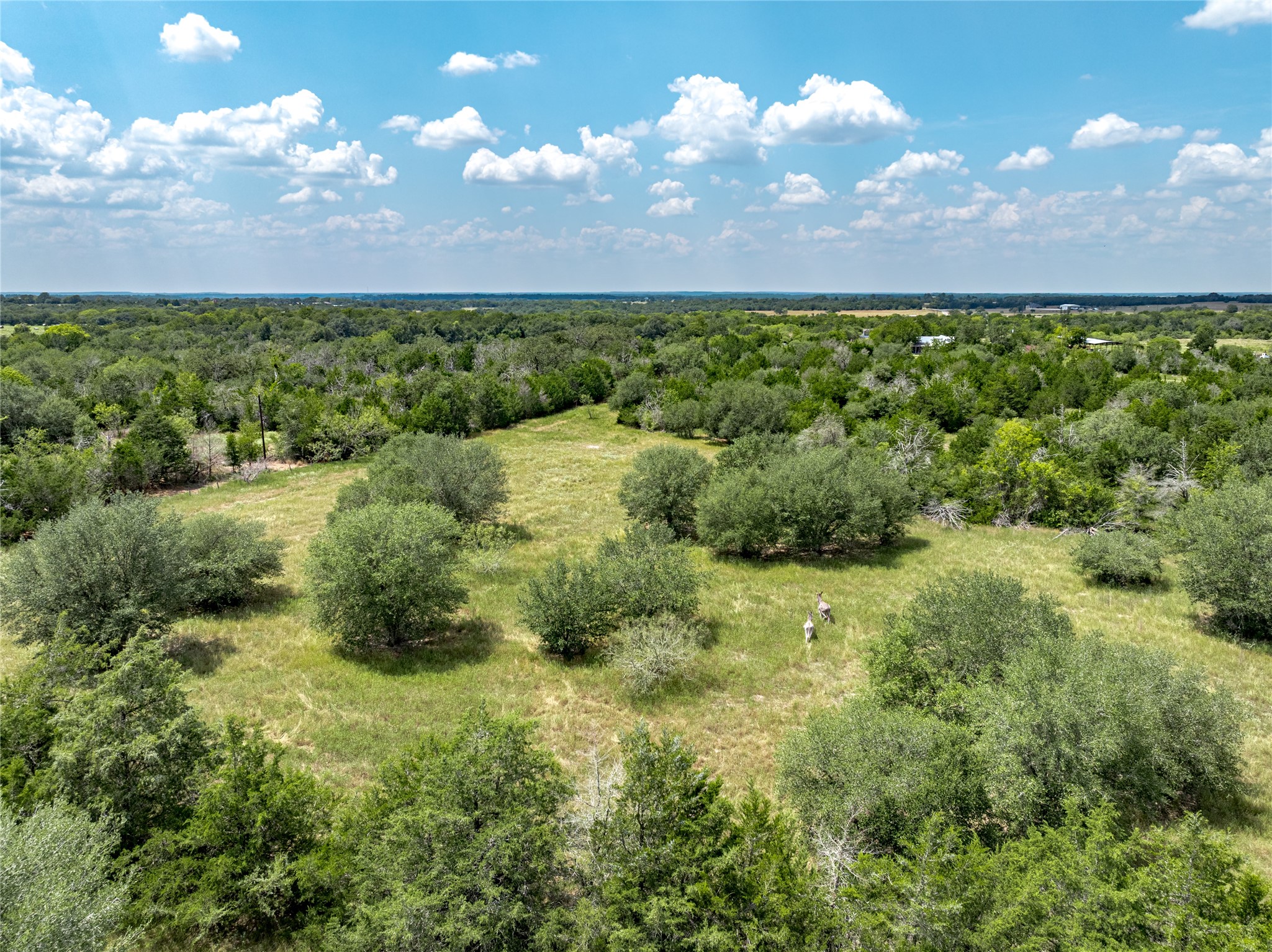 10842 Rauch Road Ledbetter, TX 78946 - Photo 10 of 24