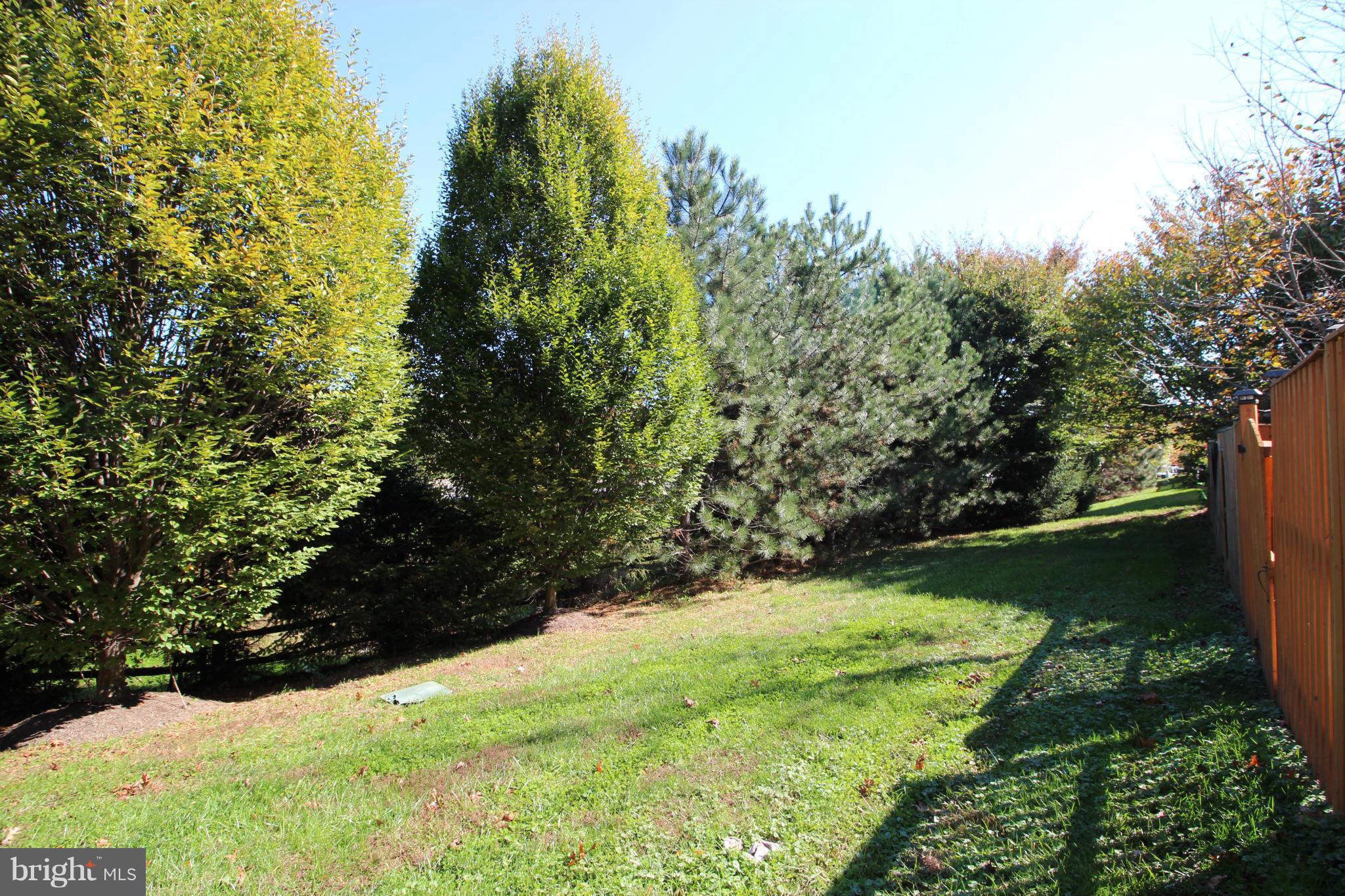 10556 Falkirk Way Manassas, VA 20109 - Photo 21 of 23 a backyard of a house with lots of green space