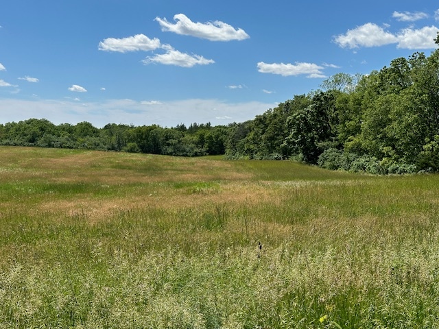 0 Fleming Road Bull Valley, IL 60098 - Photo 1 of 5 Gallery Image 1