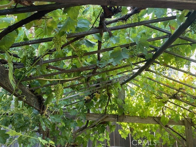 8425 Azucena Avenue Atascadero, CA 93422 - Photo 44 of 47 a view of tree