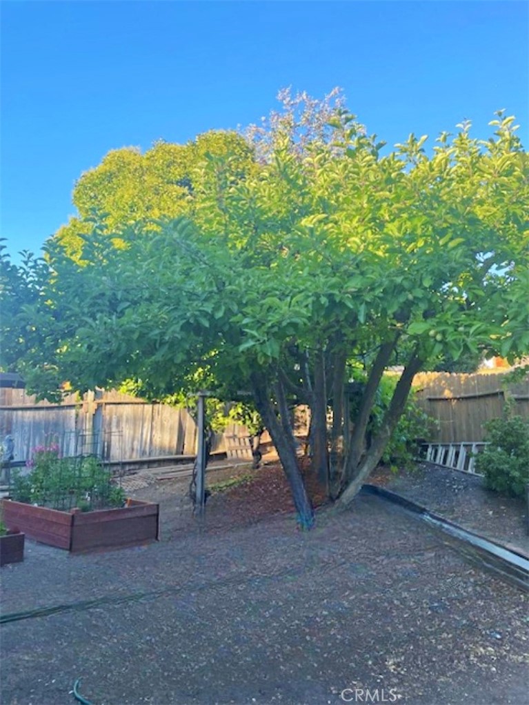 8425 Azucena Avenue Atascadero, CA 93422 - Photo 47 of 47 a backyard of a house with lots of green space