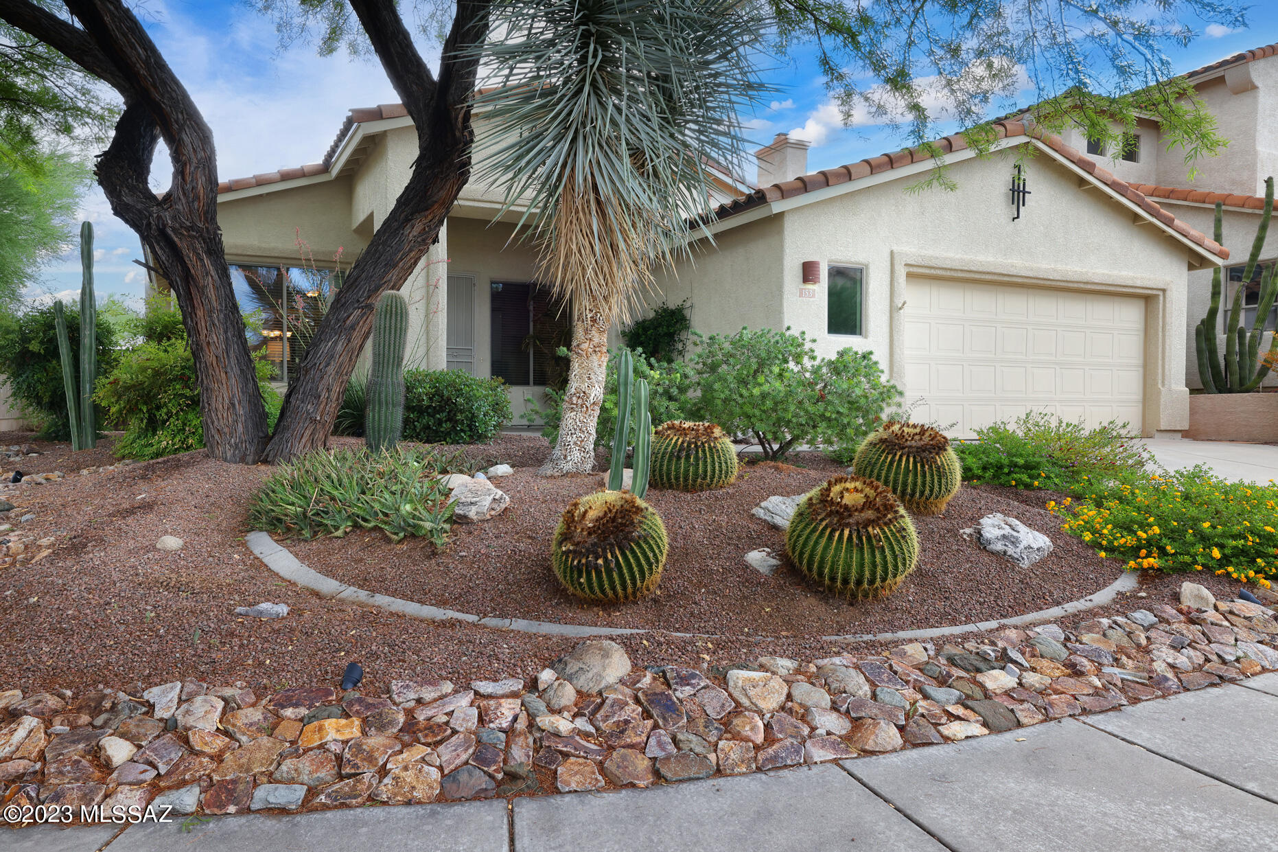 153 West Red Pepper Place Oro Valley, AZ 85755 - Photo 2 of 43
