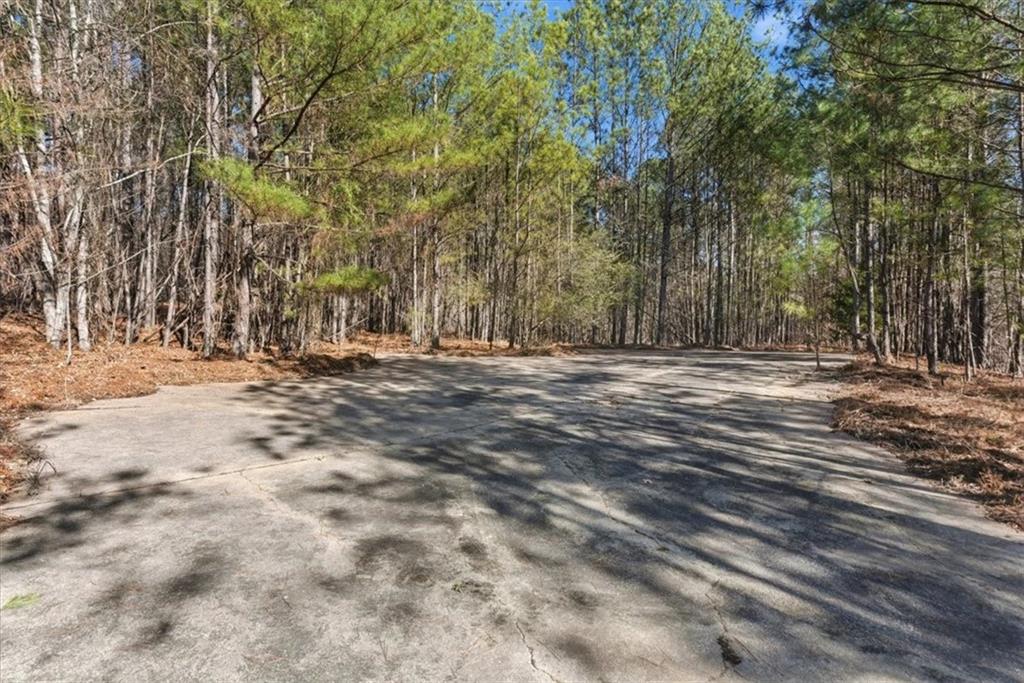 215 Pickett's Way Acworth, GA 30101 - Photo 11 of 23 a view of outdoor space with trees