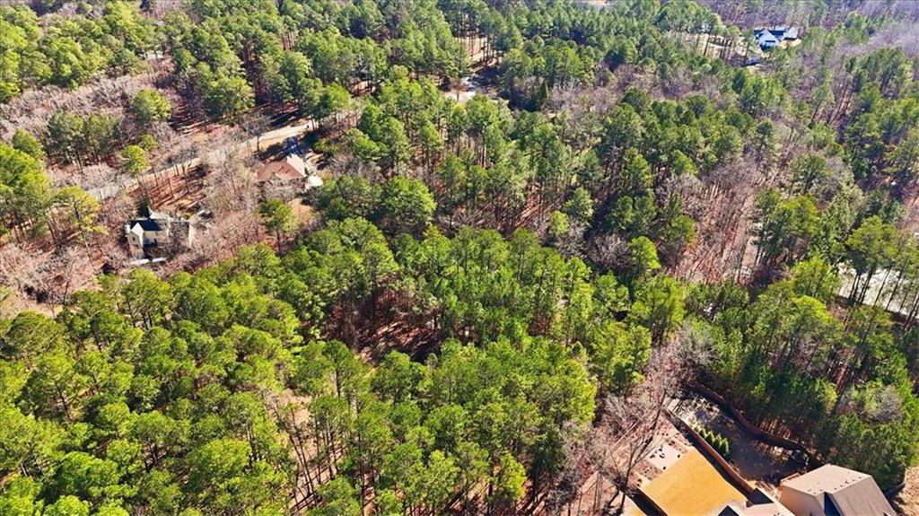 215 Pickett's Way Acworth, GA 30101 - Photo 23 of 23 a backyard of a house with lots of green space