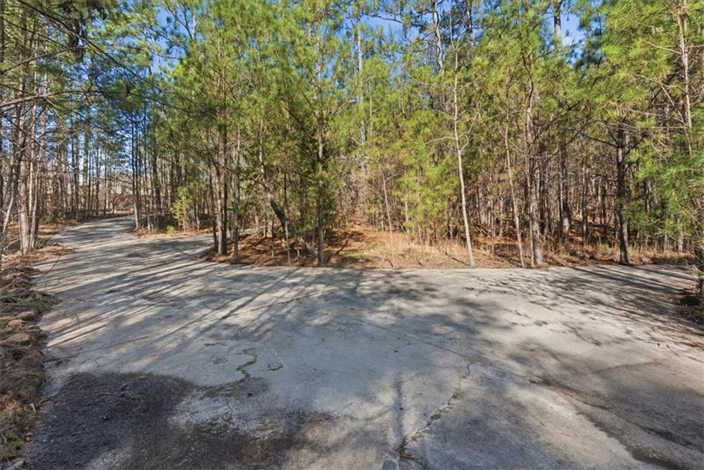 215 Pickett's Way Acworth, GA 30101 - Photo 6 of 23 a view of outdoor space with trees