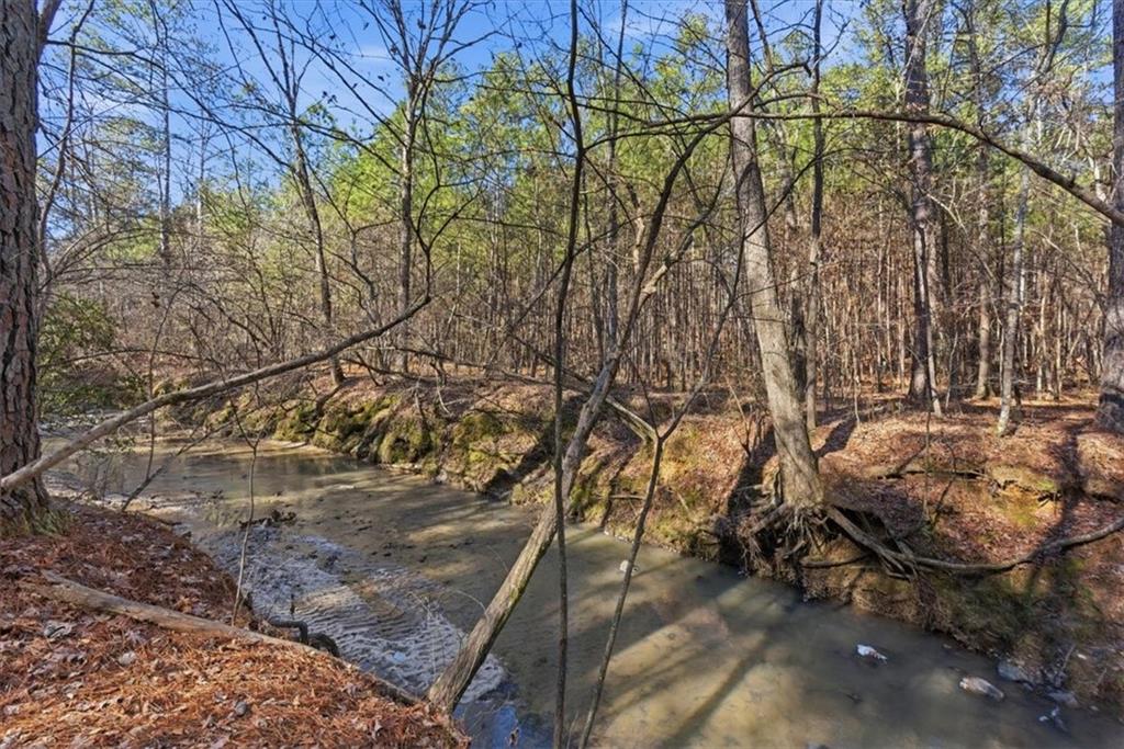 215 Pickett's Way Acworth, GA 30101 - Photo 9 of 23 a view of yard with tree