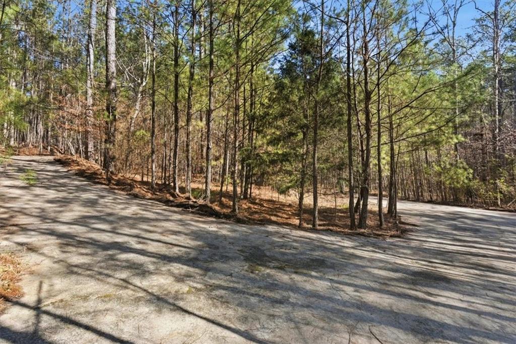 215 Pickett's Way Acworth, GA 30101 - Photo 10 of 23