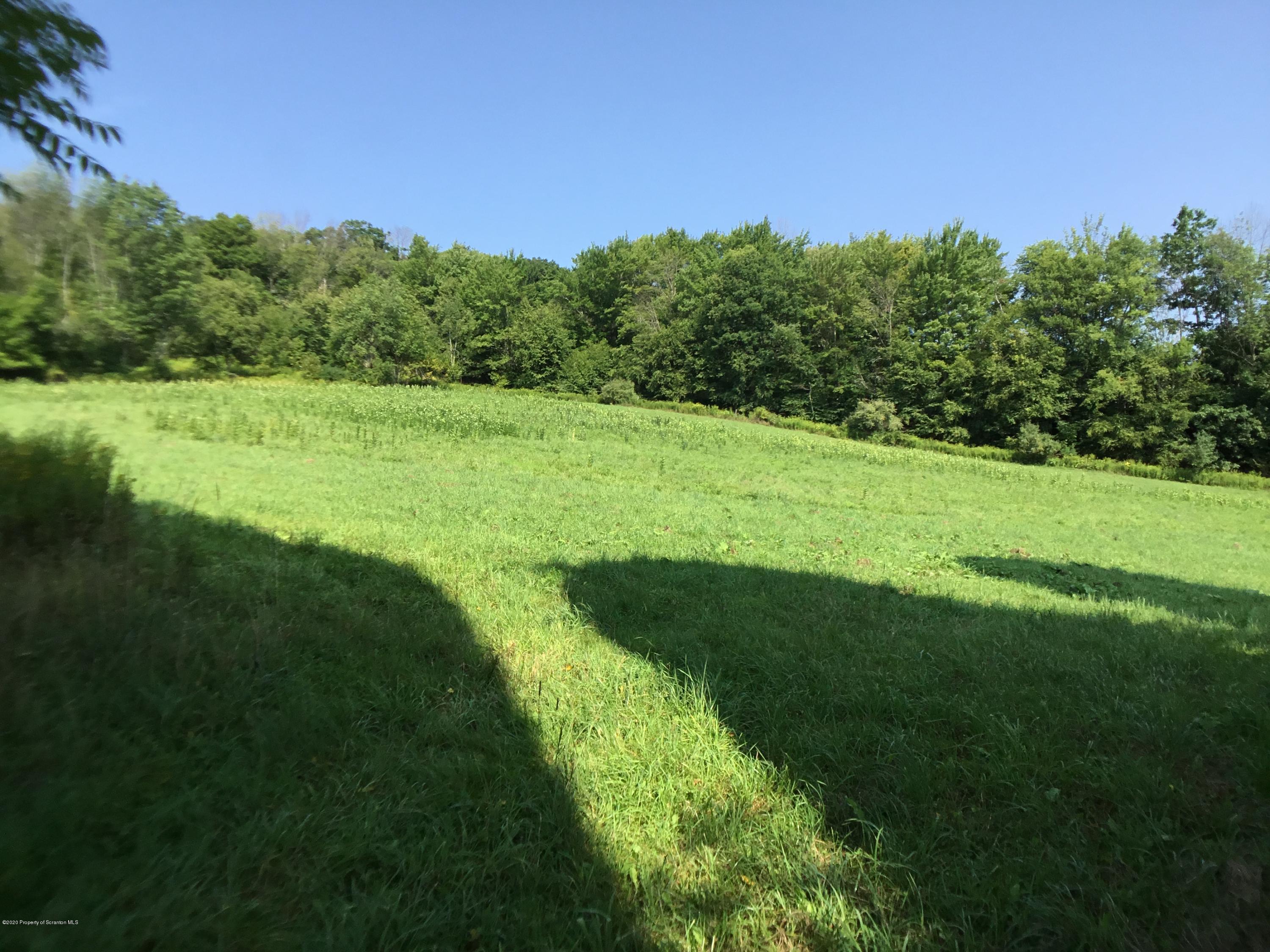 1059 Mountain Valley Road Hallstead, PA 18822 - Photo 20 of 30 a view of a grassy area with an trees
