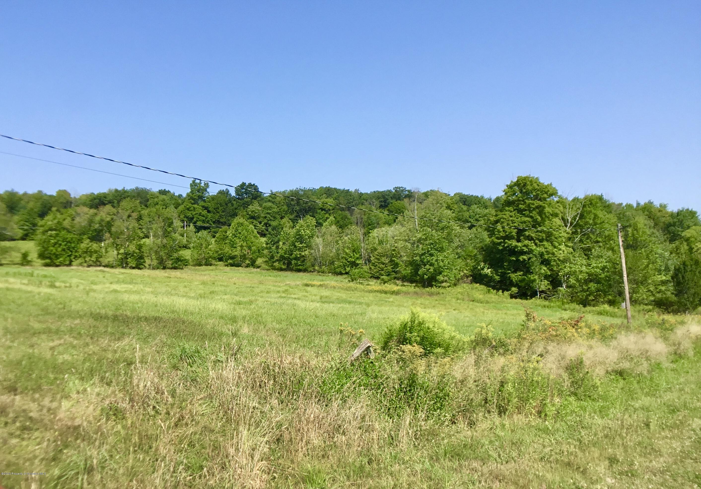 1059 Mountain Valley Road Hallstead, PA 18822 - Photo 7 of 30 a view of a lush green space