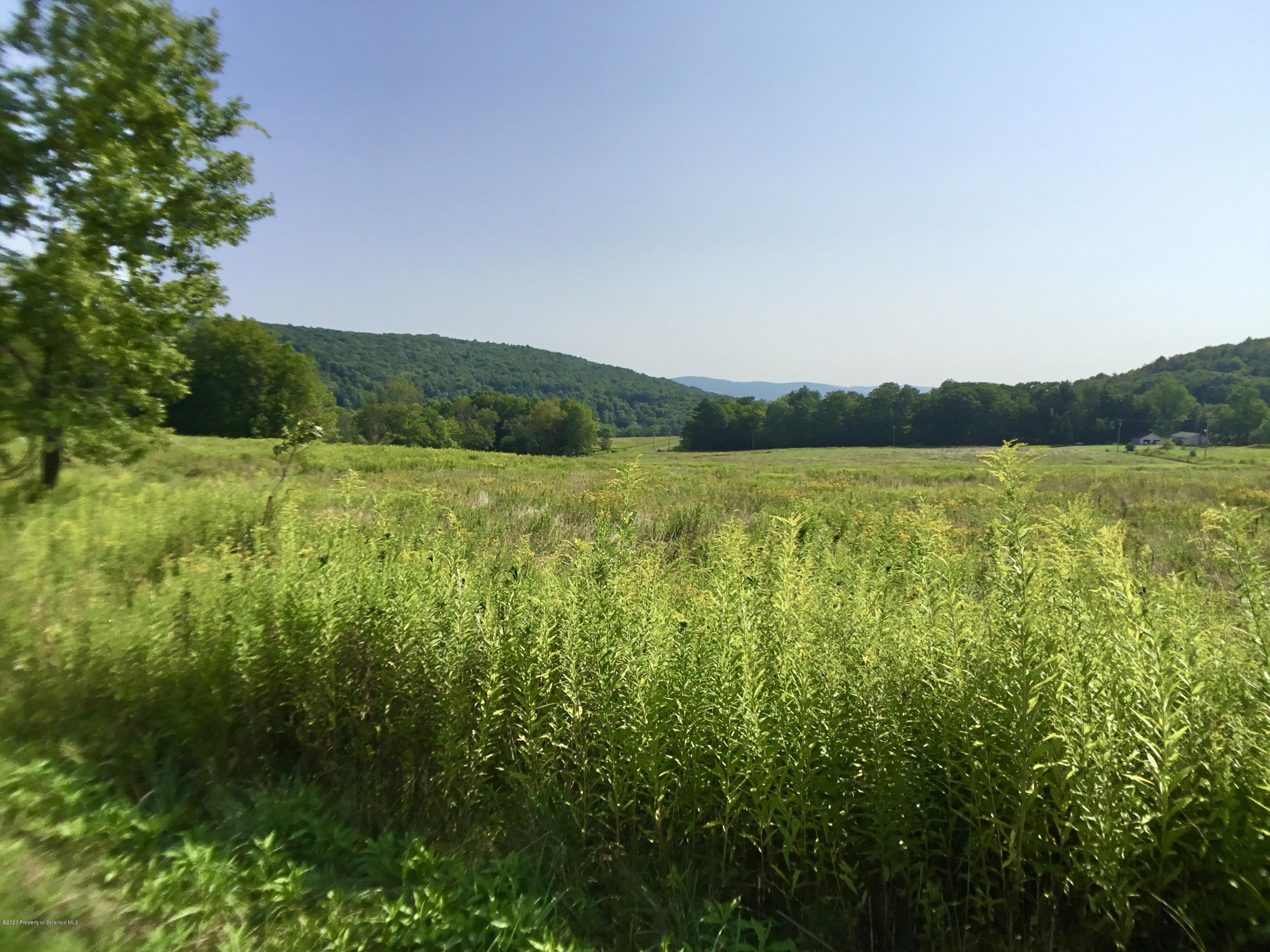 1059 Mountain Valley Road Hallstead, PA 18822 - Photo 8 of 30 a view of lake and mountain view