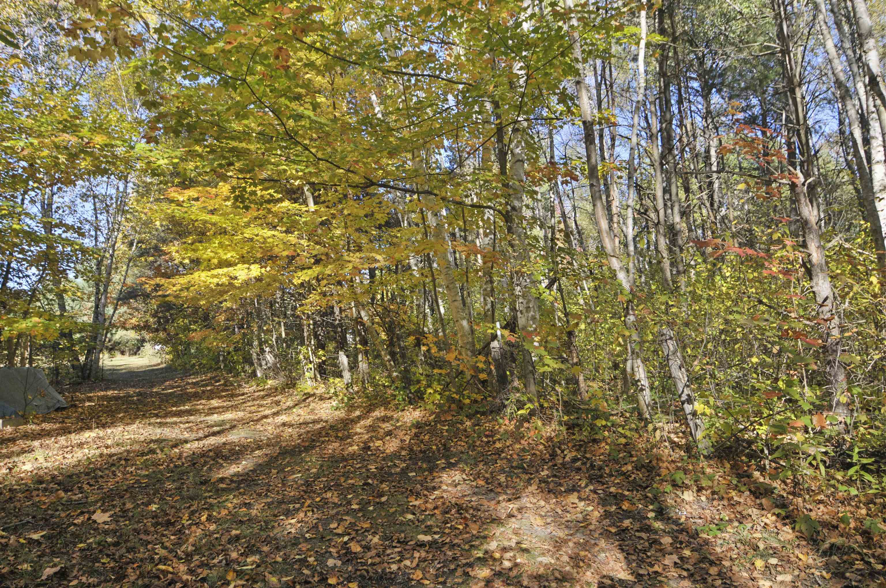 8780 30 1/2 Road Cadillac, MI 49601 - Photo 59 of 82