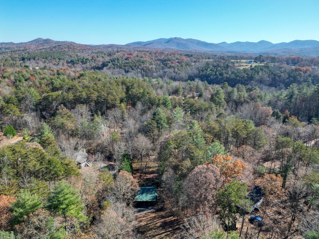 518 Rizzitello Lane Blairsville, GA 30512 - Photo 42 of 44