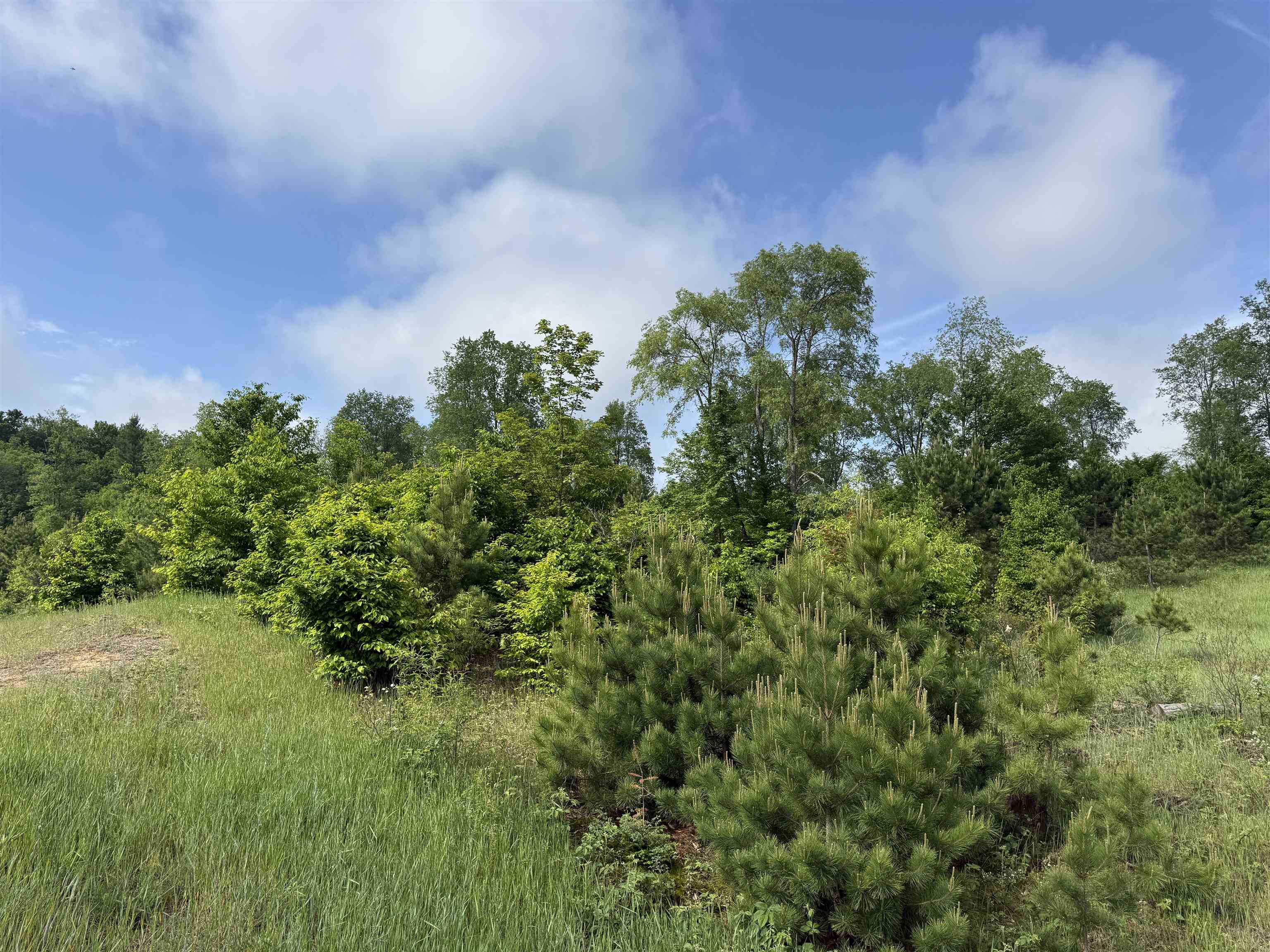 A4 East Kasson Road Traverse City, MI 49684 - Photo 10 of 12