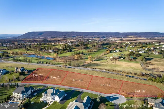 a view of a city with an ocean