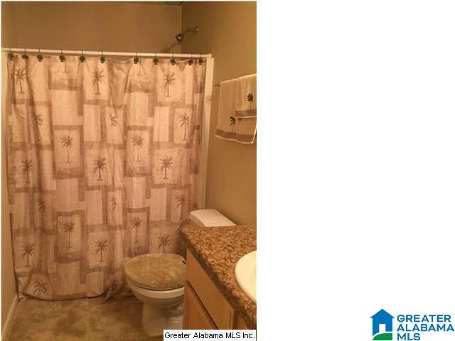 409 Graves Gap Road Hayden, AL 35079 - Photo 18 of 19