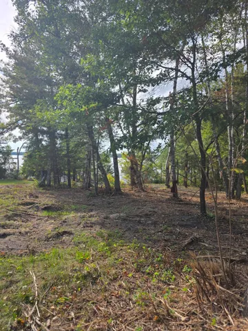 $399,000 | Tbd Andrusia Road Southeast, Cass Lake, MN 56633