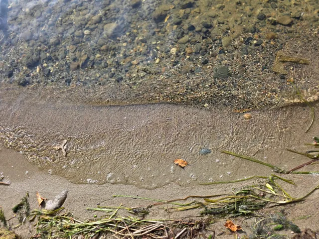 $399,000 | Tbd Andrusia Road Southeast, Cass Lake, MN 56633