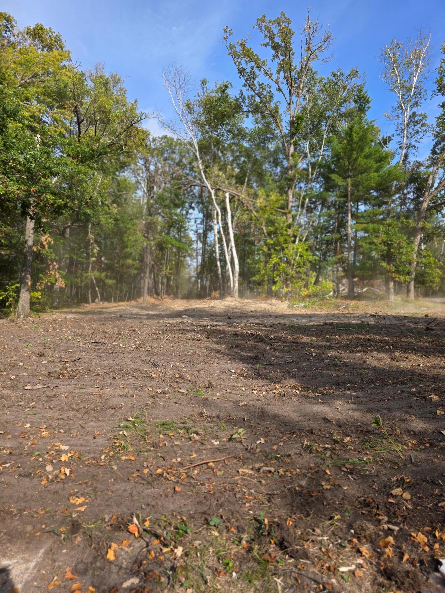 Tbd Andrusia Road Southeast Cass Lake, MN 56633 - Photo 5 of 14