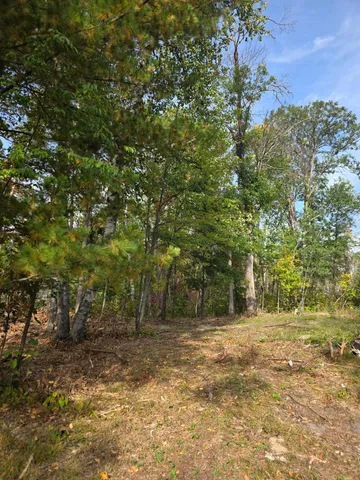 $399,000 | Tbd Andrusia Road Southeast, Cass Lake, MN 56633