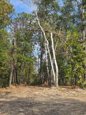 $399,000 | Tbd Andrusia Road Southeast, Cass Lake, MN 56633