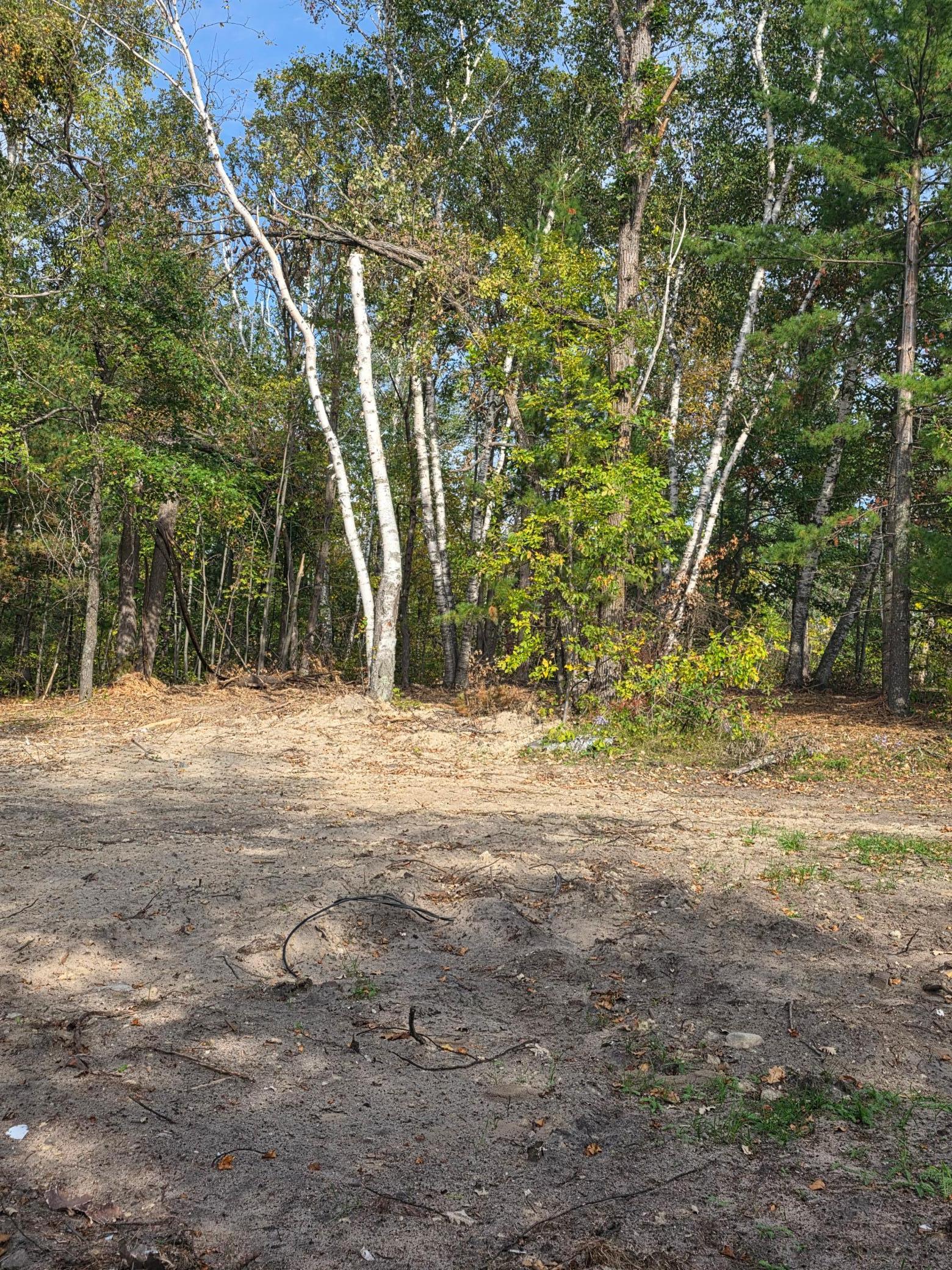 Tbd Andrusia Road Southeast Cass Lake, MN 56633 - Photo 9 of 14
