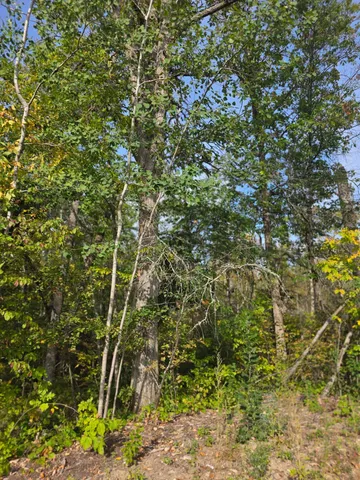 $399,000 | Tbd Andrusia Road Southeast, Cass Lake, MN 56633