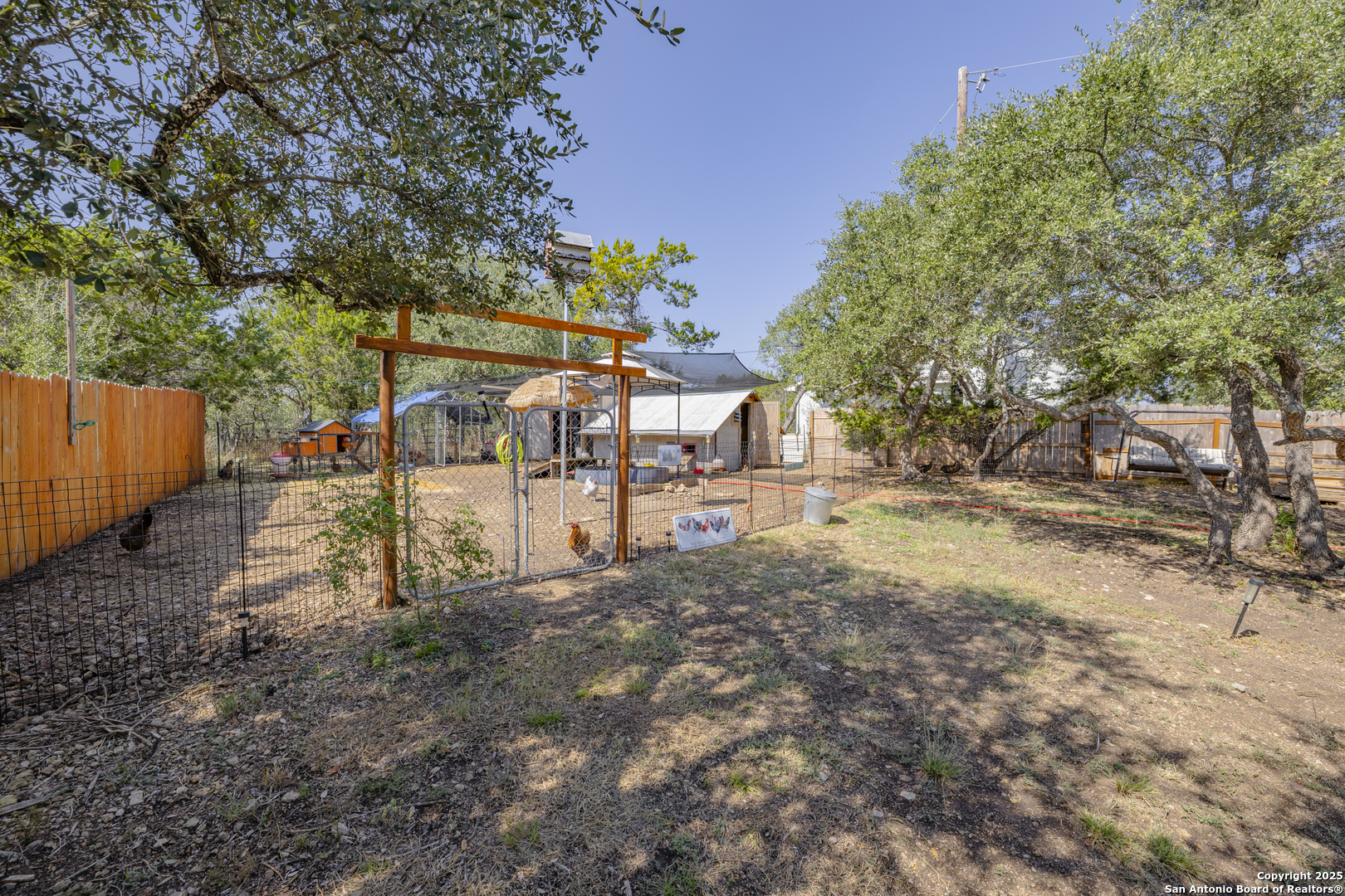 1264 Spicewood Road Fischer, TX 78623 - Photo 10 of 46