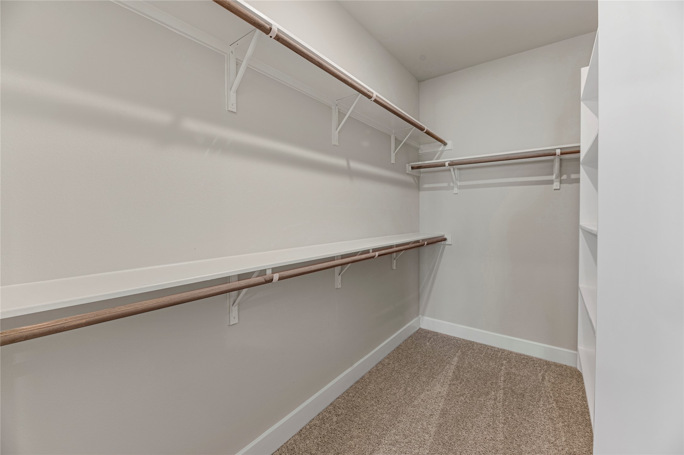 1508 Rodeo Ridge Drive Georgetown, TX 78628 - Photo 13 of 37 Walk in closet featuring light carpet