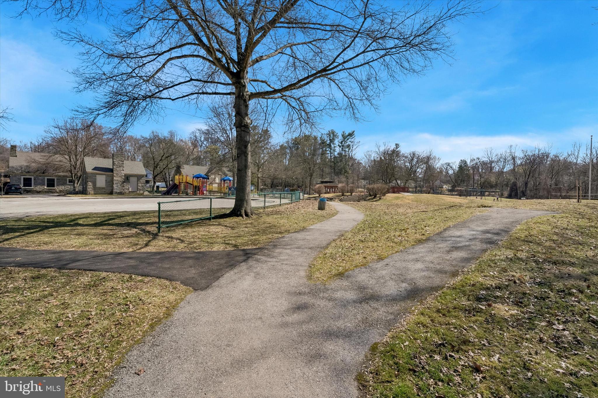 649 Glendale Road Havertown, PA 19083 - Photo 65 of 67 a view of dirt yard with a large tree