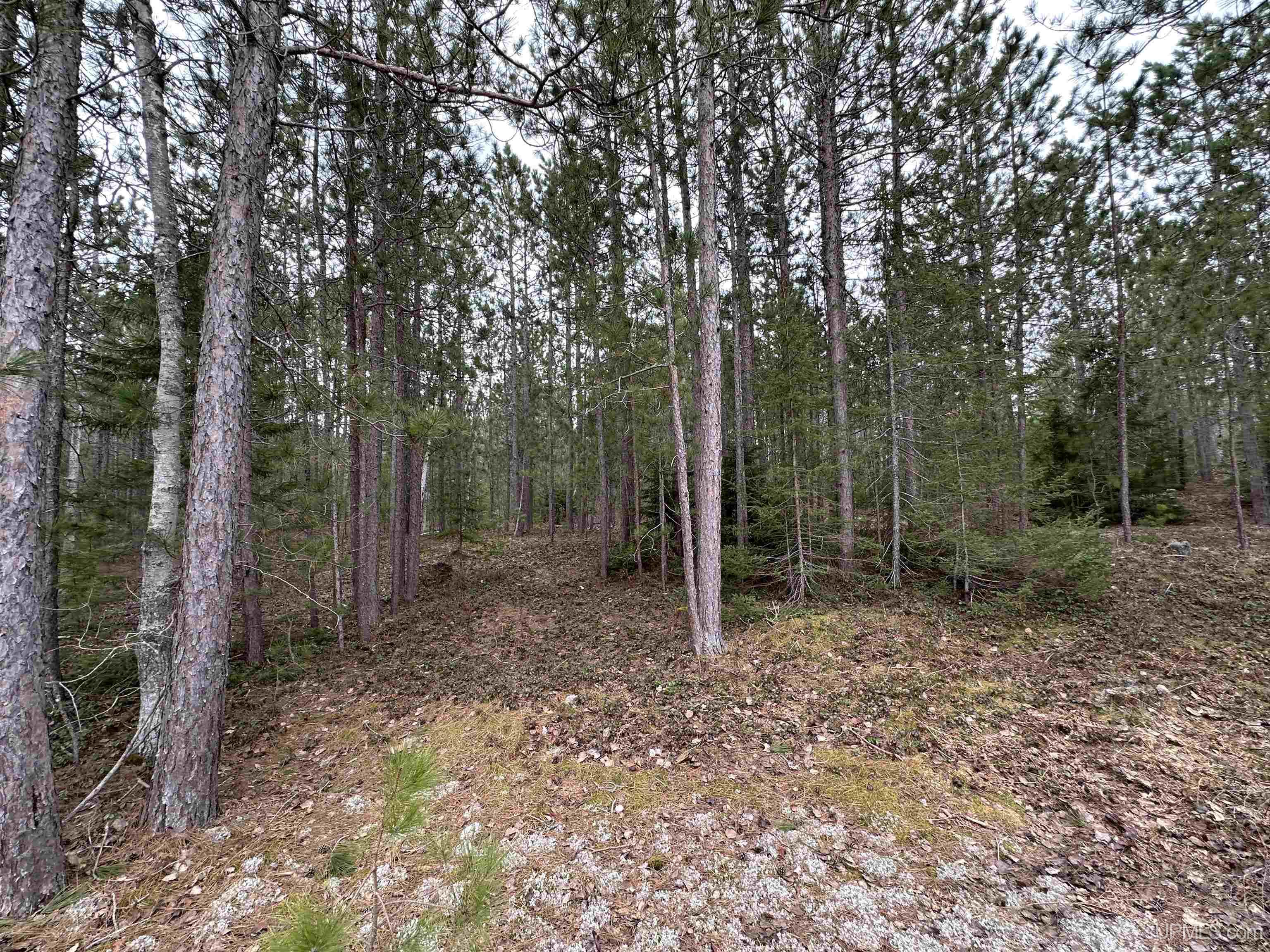 M28 E Road Marquette, MI 49855 - Photo 10 of 15