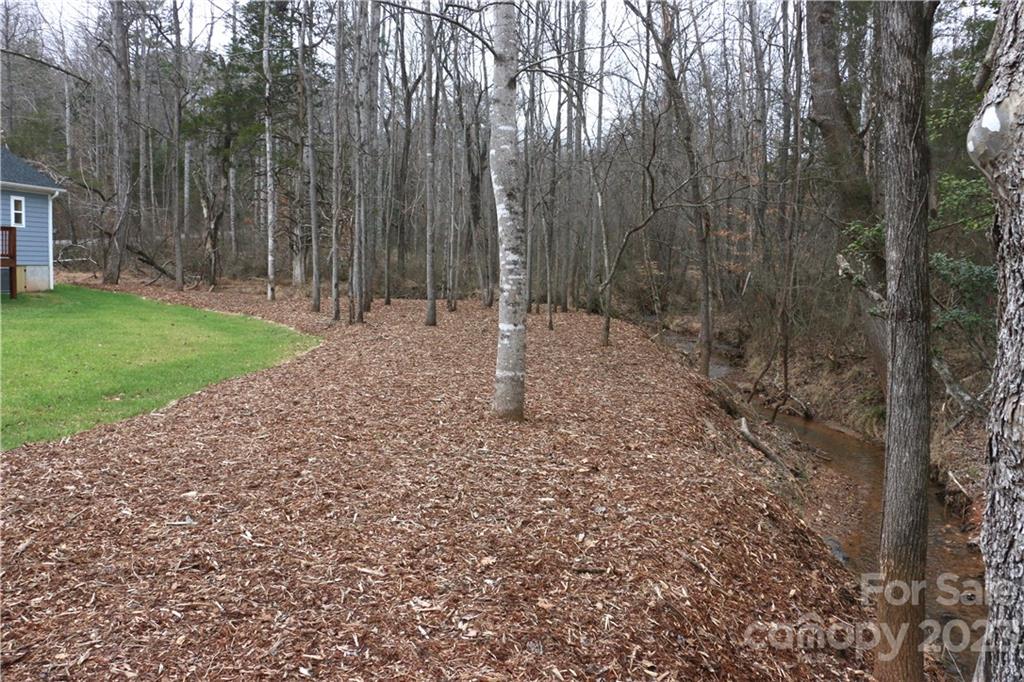 314 John Smith Road Rutherfordton, NC 28139 - Photo 7 of 25 a view of a backyard with large trees