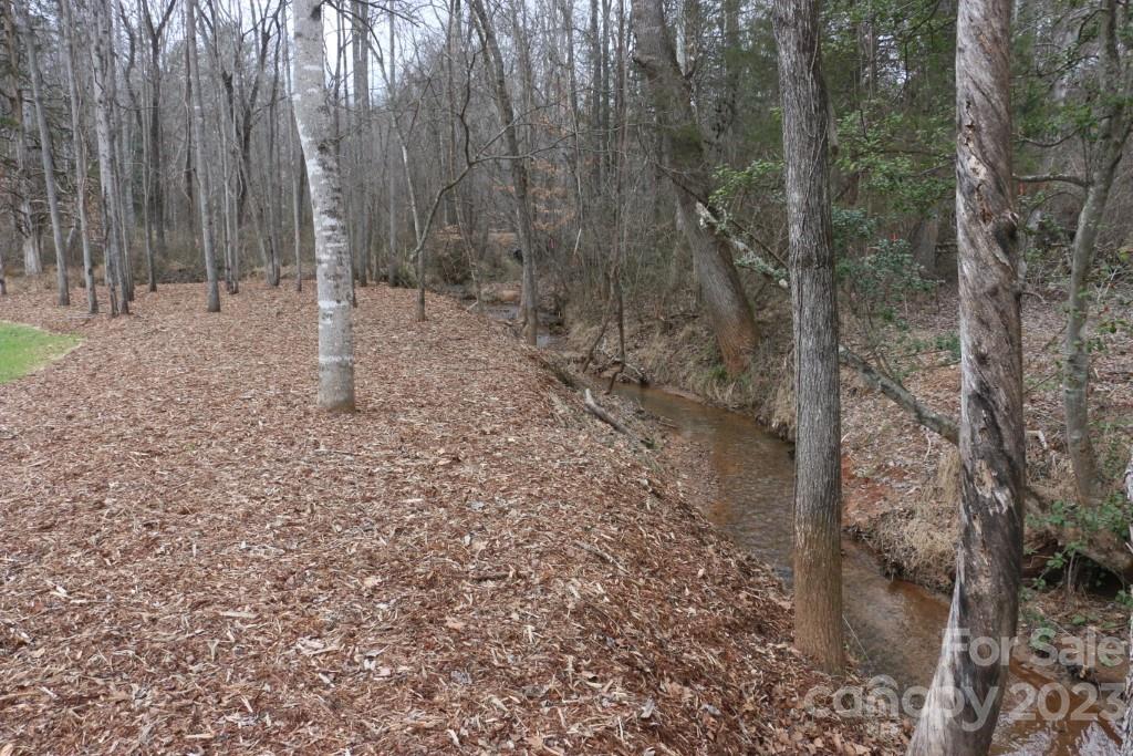 314 John Smith Road Rutherfordton, NC 28139 - Photo 8 of 25 a view of a forest with trees in the background