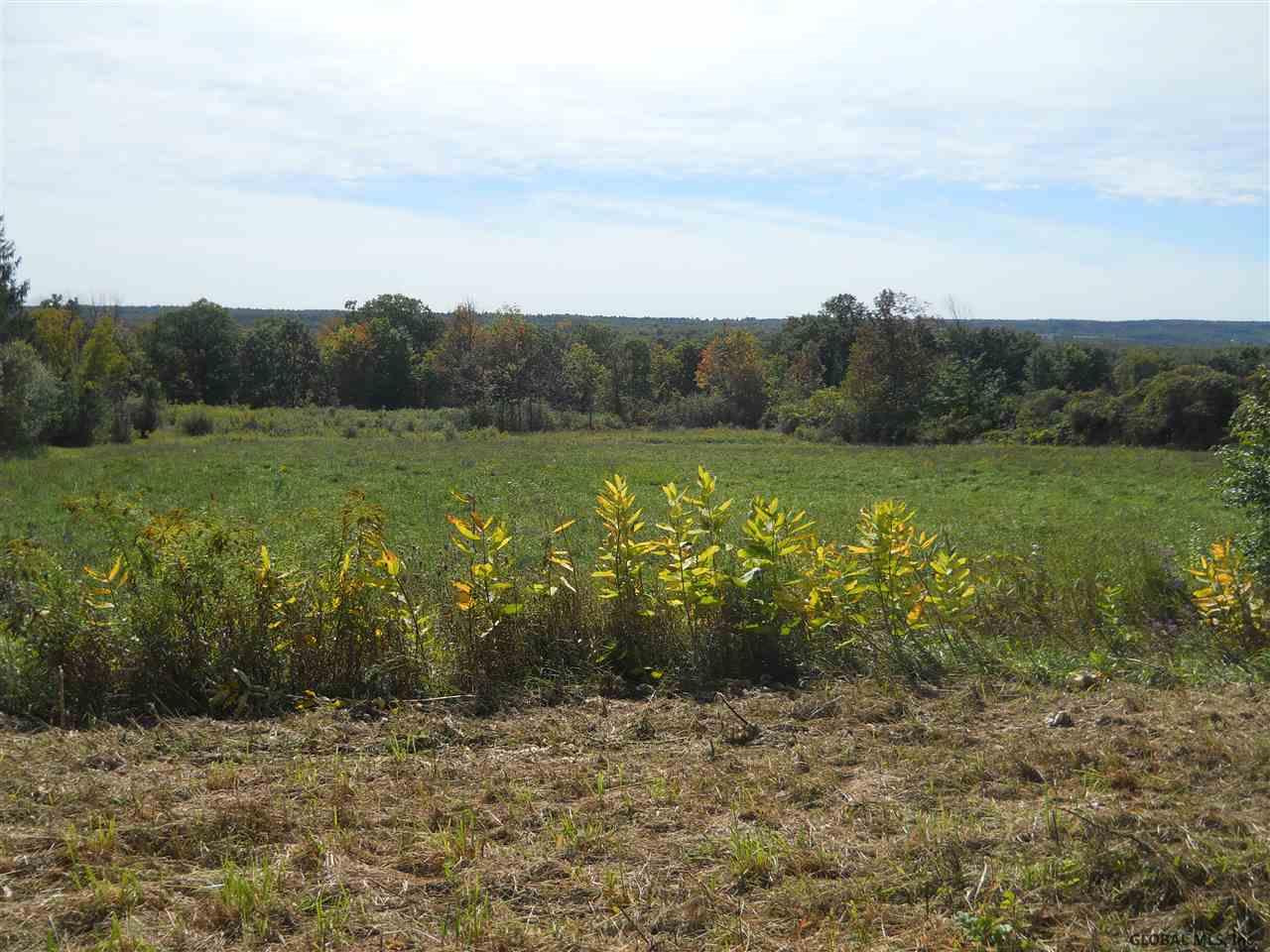 1480 Wells Road Duanesburg, NY 12137 - Photo 1 of 10 Photo 1