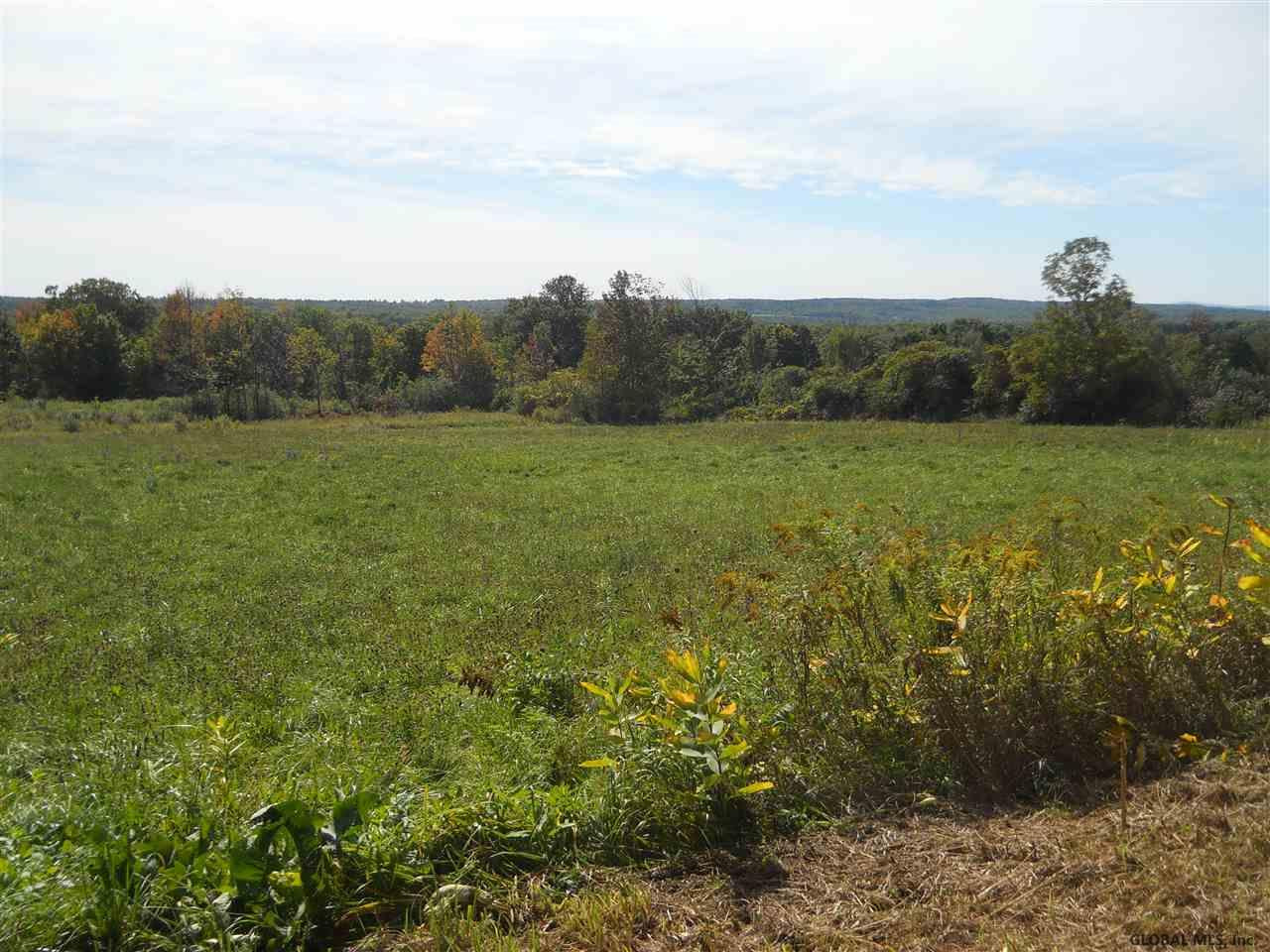 1480 Wells Road Duanesburg, NY 12137 - Photo 5 of 10 Photo 5