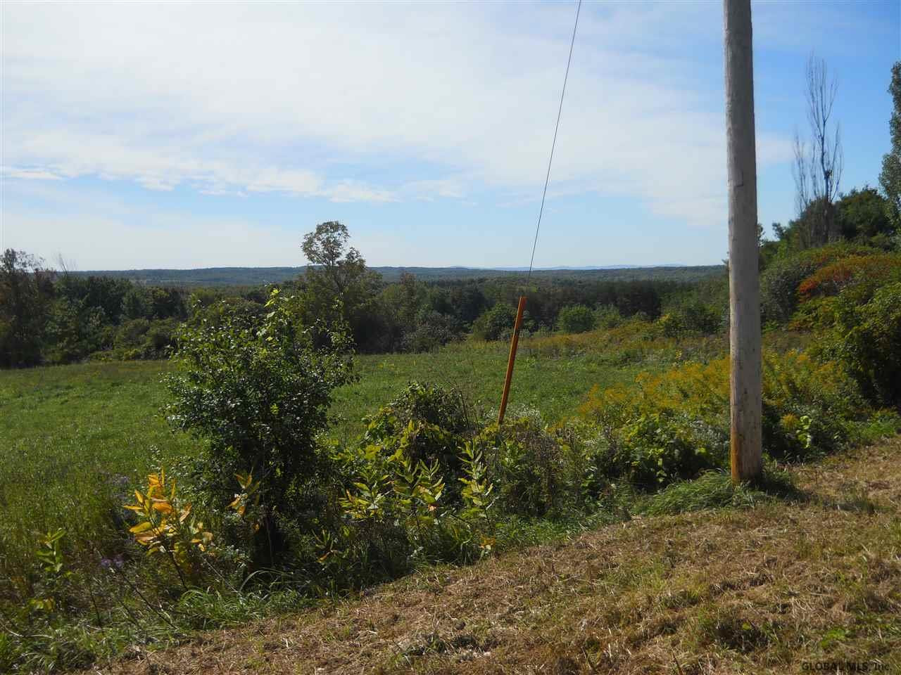 1480 Wells Road Duanesburg, NY 12137 - Photo 6 of 10 Photo 6