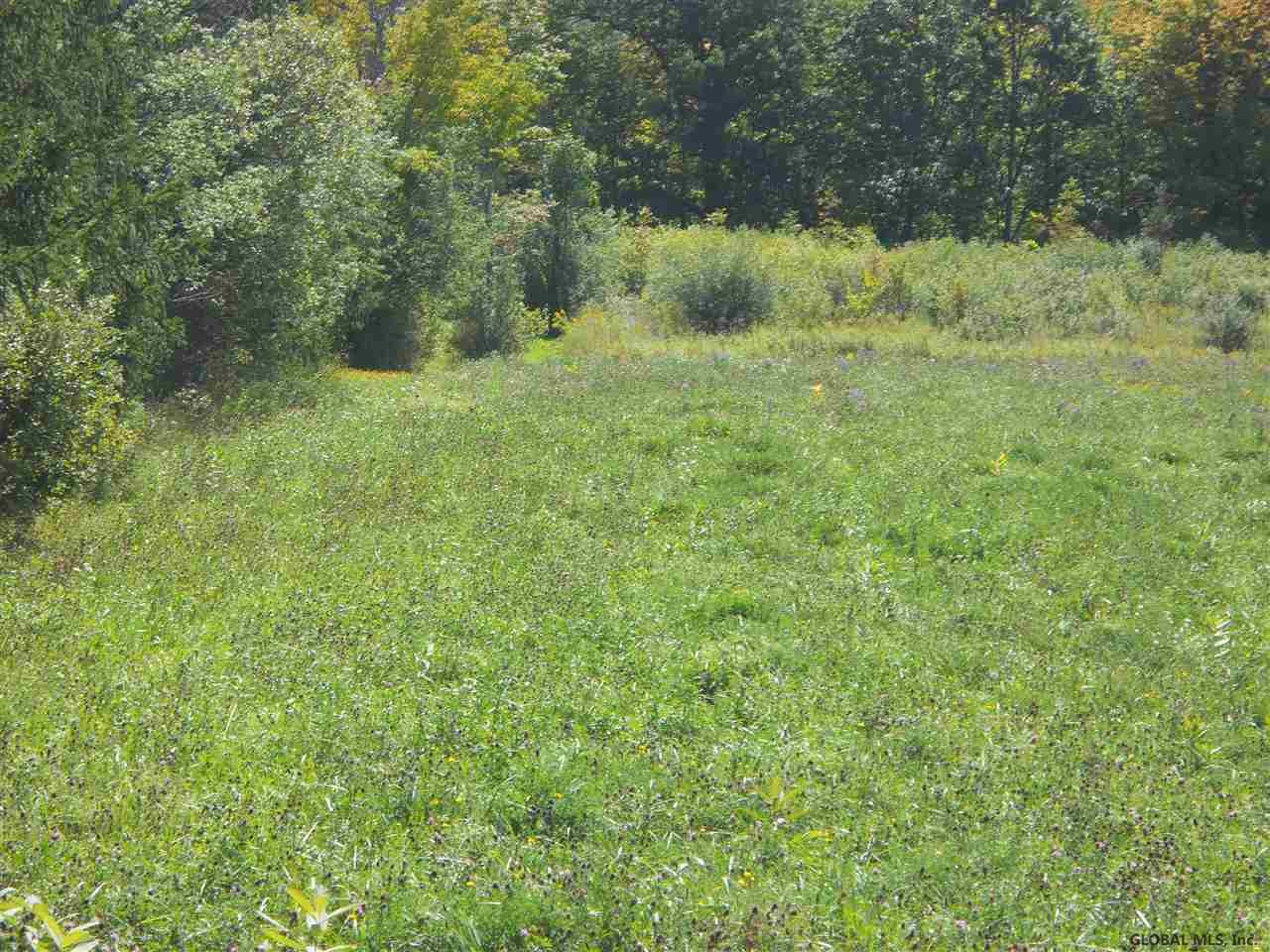 1480 Wells Road Duanesburg, NY 12137 - Photo 8 of 10 Photo 8