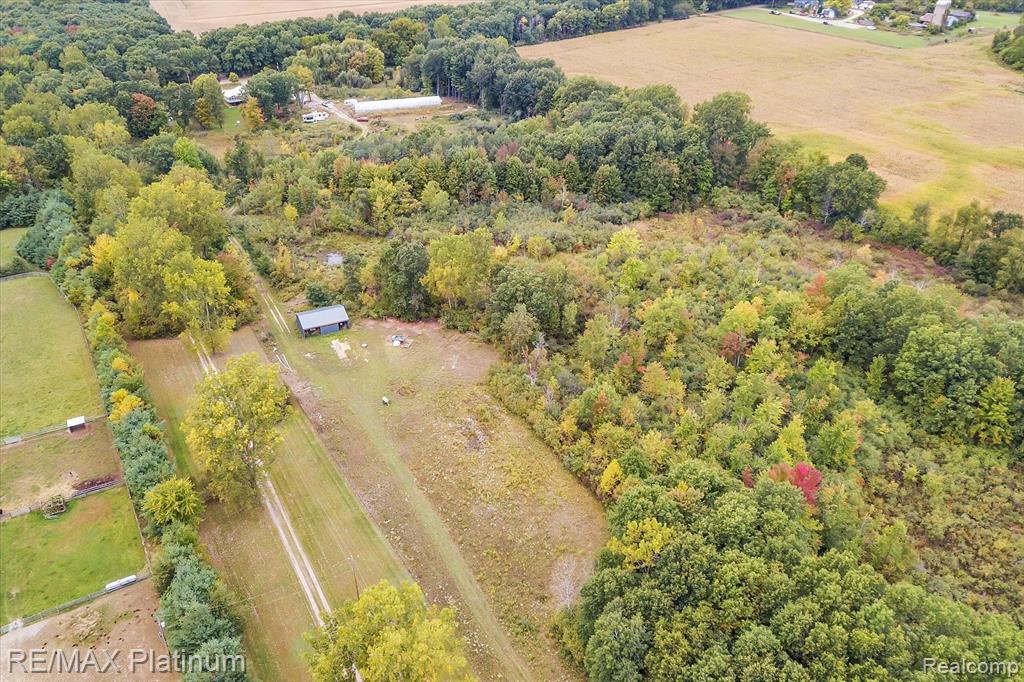 14503 Bird Road Byron, MI 48418 - Photo 57 of 59