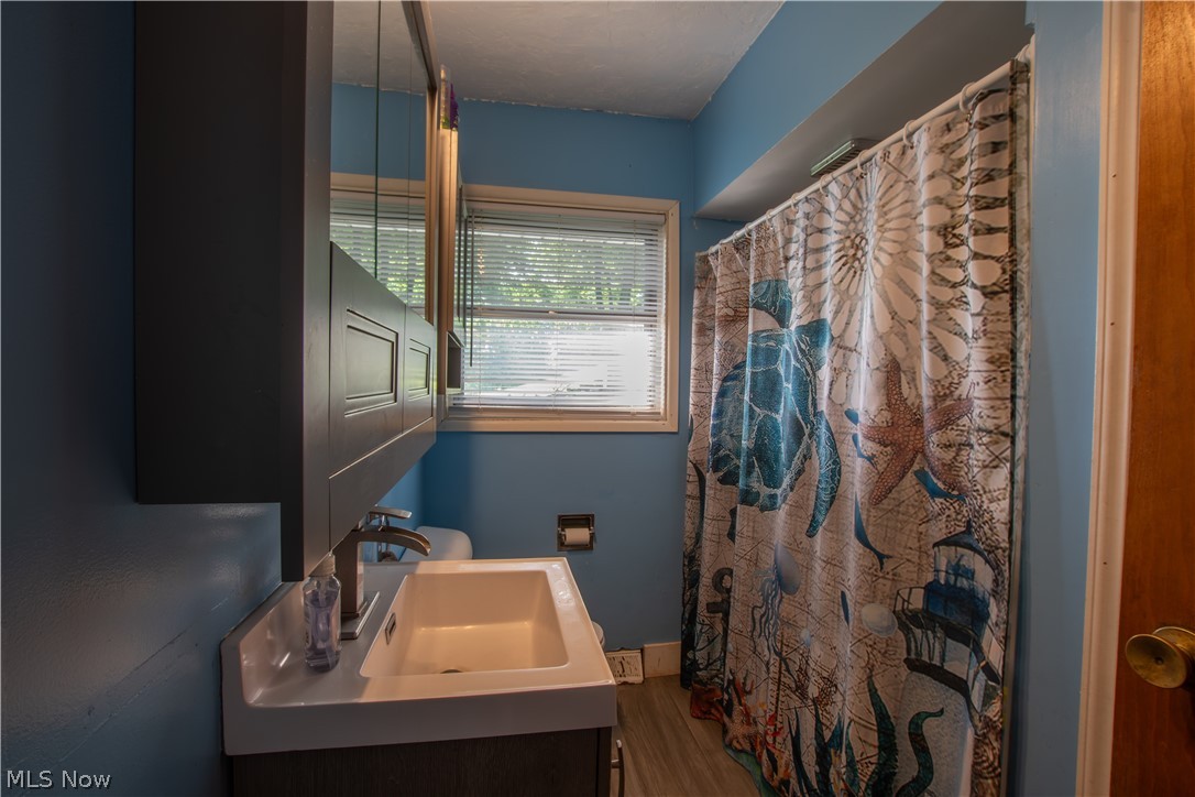 1757 Pleasant Valley Road Northeast New Philadelphia, OH 44663 - Photo 29 of 33 Bathroom featuring a built-in vanity with an integrated rectangular sink, a wall-mounted medicine cabinet with mirrored doors, and a shower with a curtain rod