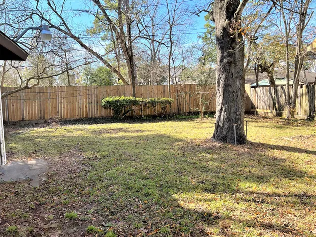 a view of a yard with a tree