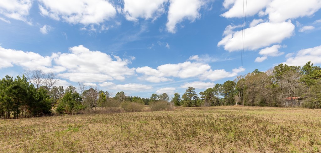 4490 Kinsey Road Dothan, AL 36303 - Photo 20 of 71