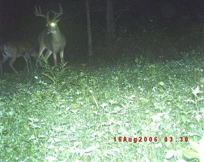 5 Timber Creek Road Lawrenceburg, KY 40342 - Photo 11 of 22 Photo 11