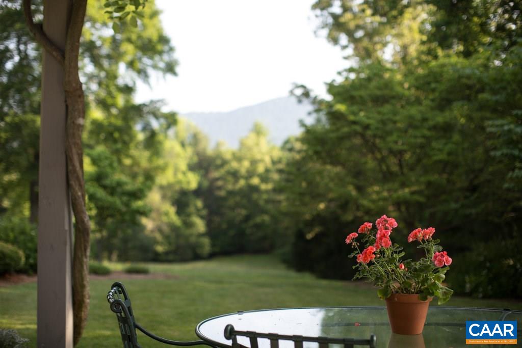 4054 Garth Road Crozet, VA 22932 - Photo 37 of 50 a view of a flowers in a yard
