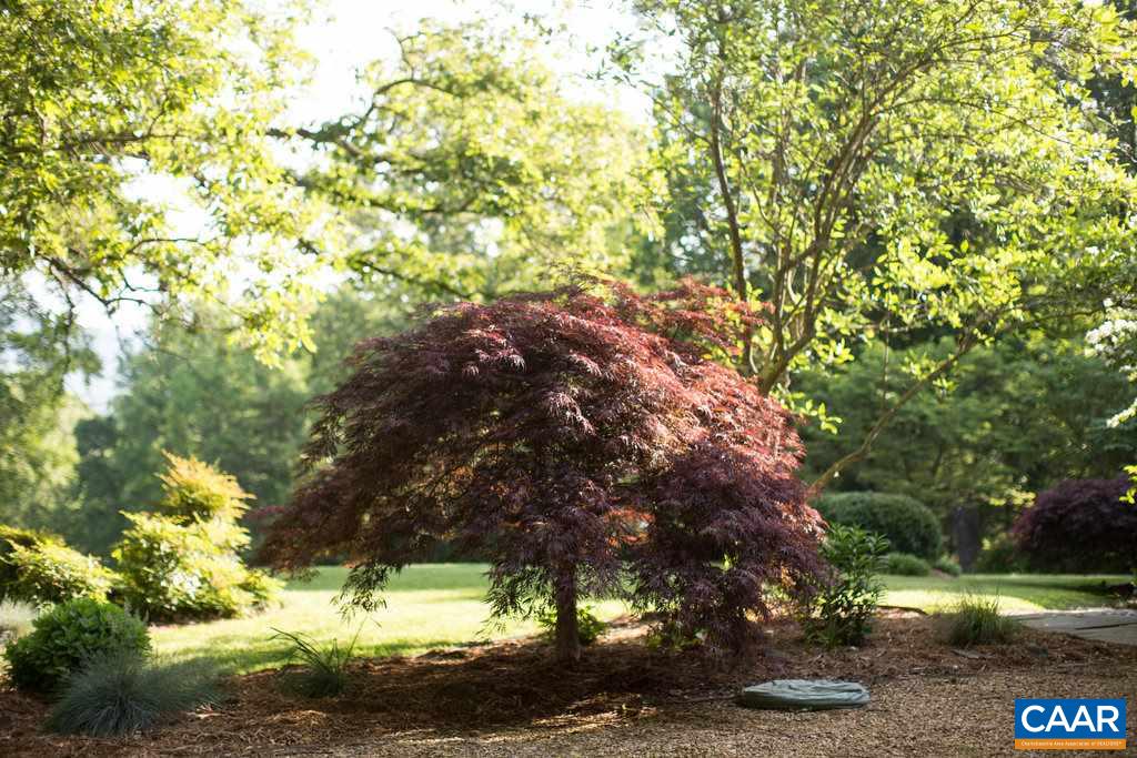 4054 Garth Road Crozet, VA 22932 - Photo 41 of 50 a view of a yard with a tree