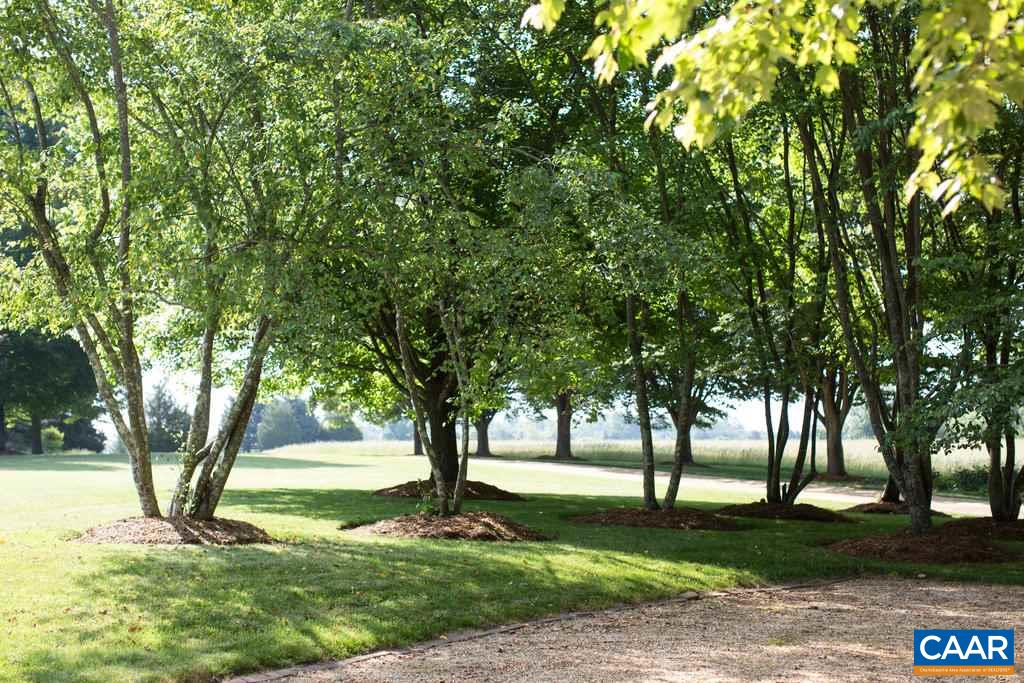4054 Garth Road Crozet, VA 22932 - Photo 46 of 50 a view of a backyard with large trees