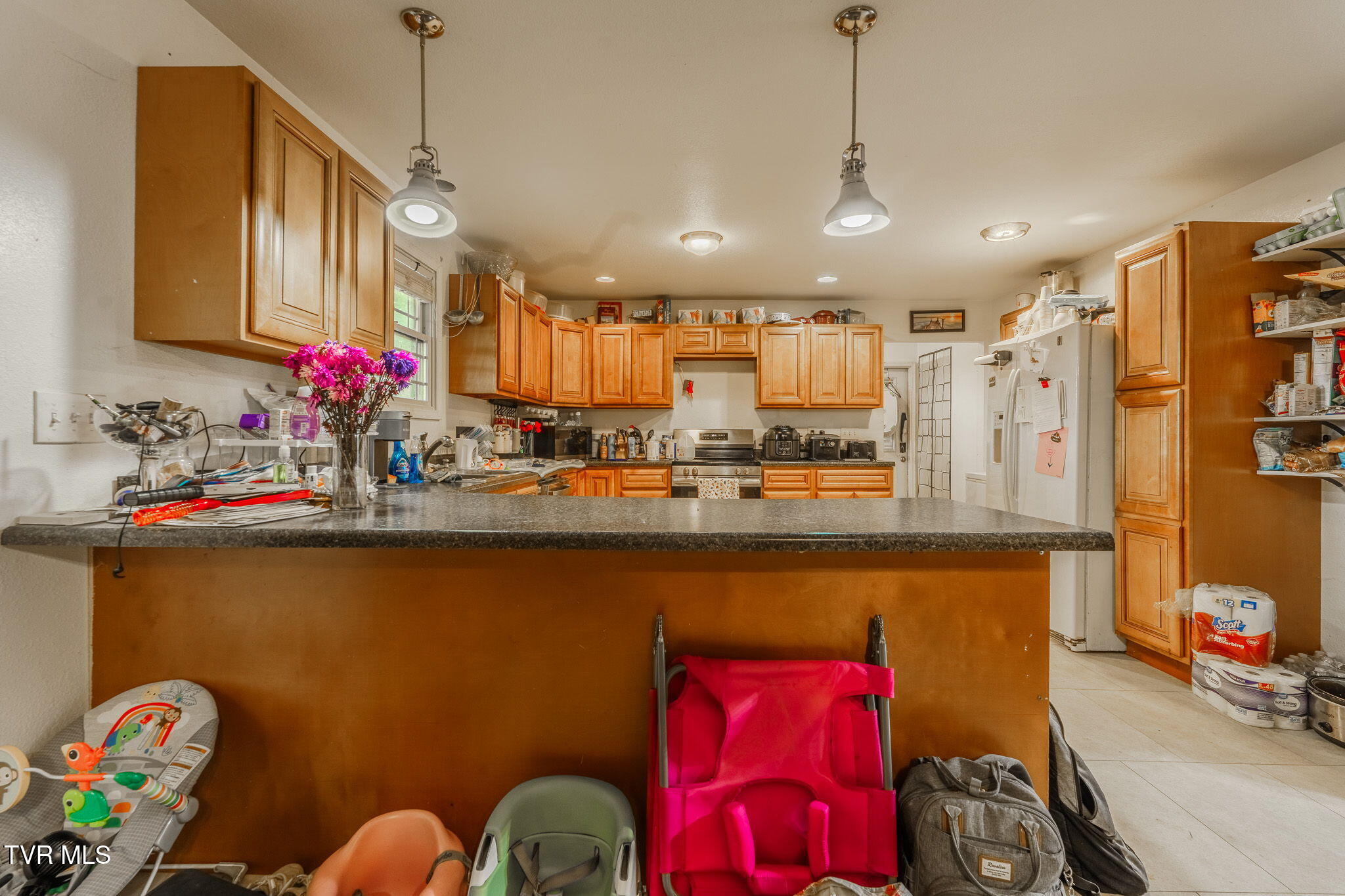 4050 Indian Ridge Road Blaine, TN 37709 - Photo 8 of 28 8-web-or-mls-_DSC1108-HDR